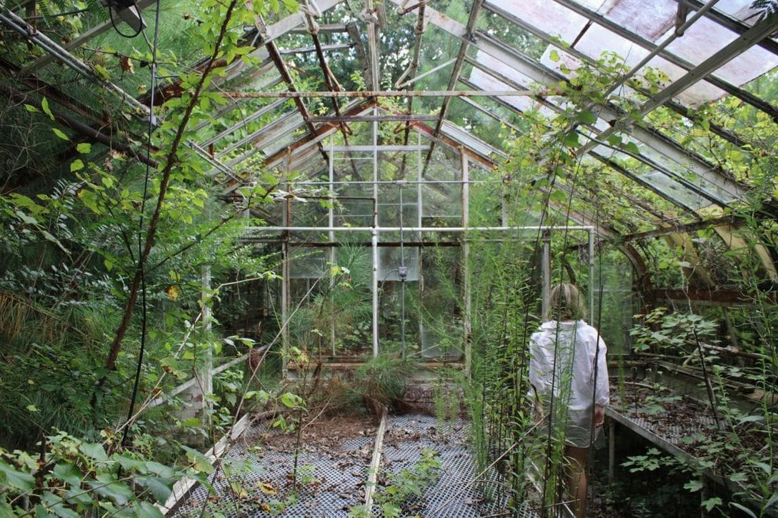 Simple Ways to Improve Greenhouse Ventilation