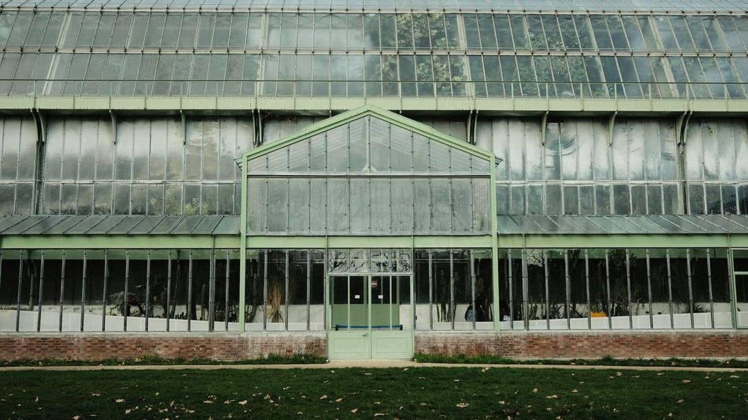 Top Plants That Thrive in a Glasshouse Setting