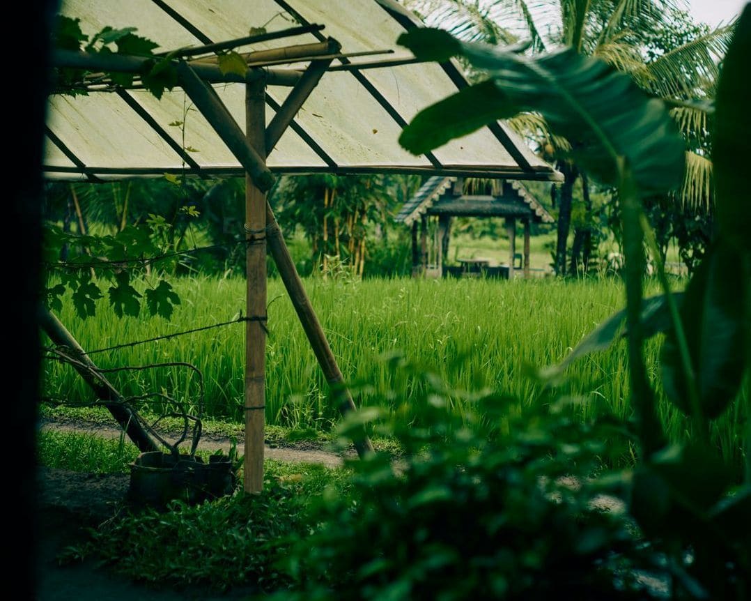 Climate Stability Workflow for a Seasonal Produce Greenhouse