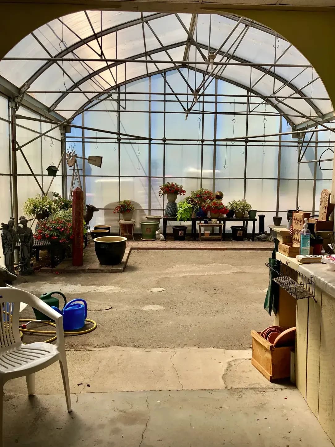 Evergreen Glasshouse 10