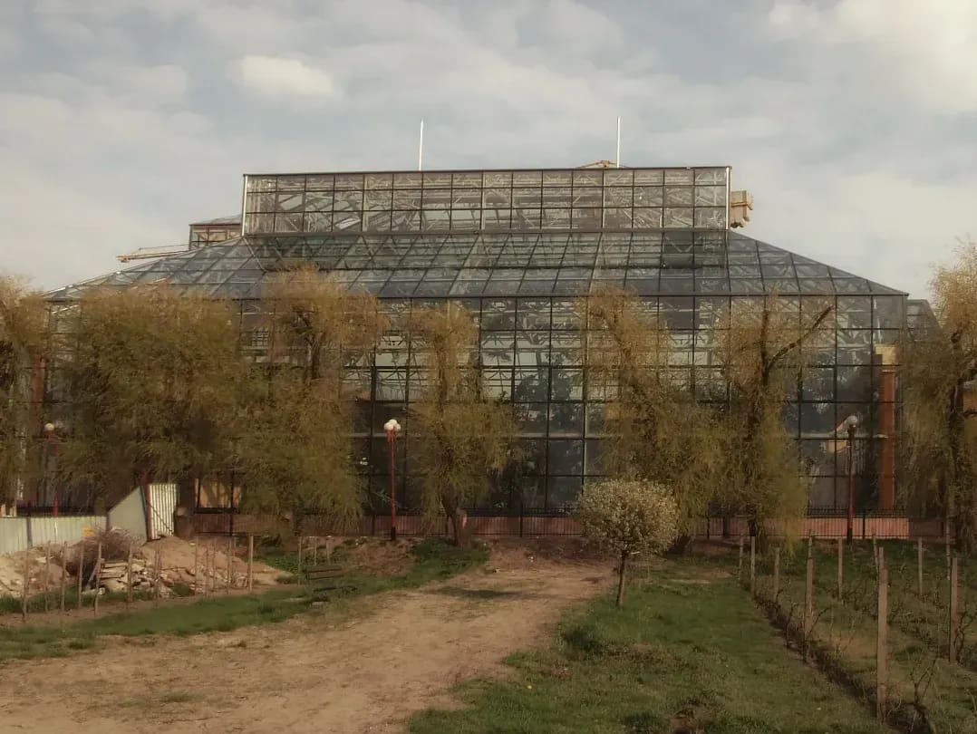 Evergreen Glasshouse 11