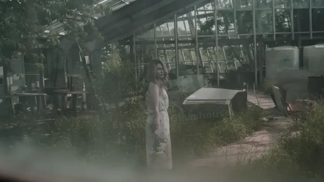 Evergreen Glasshouse 14