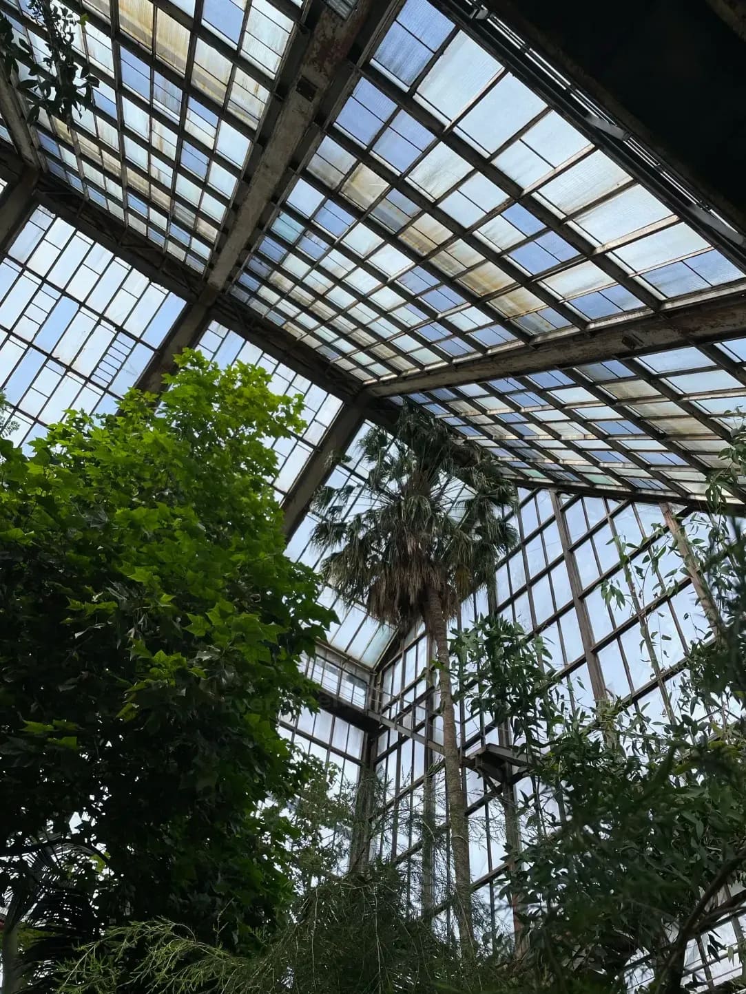 Evergreen Glasshouse 15