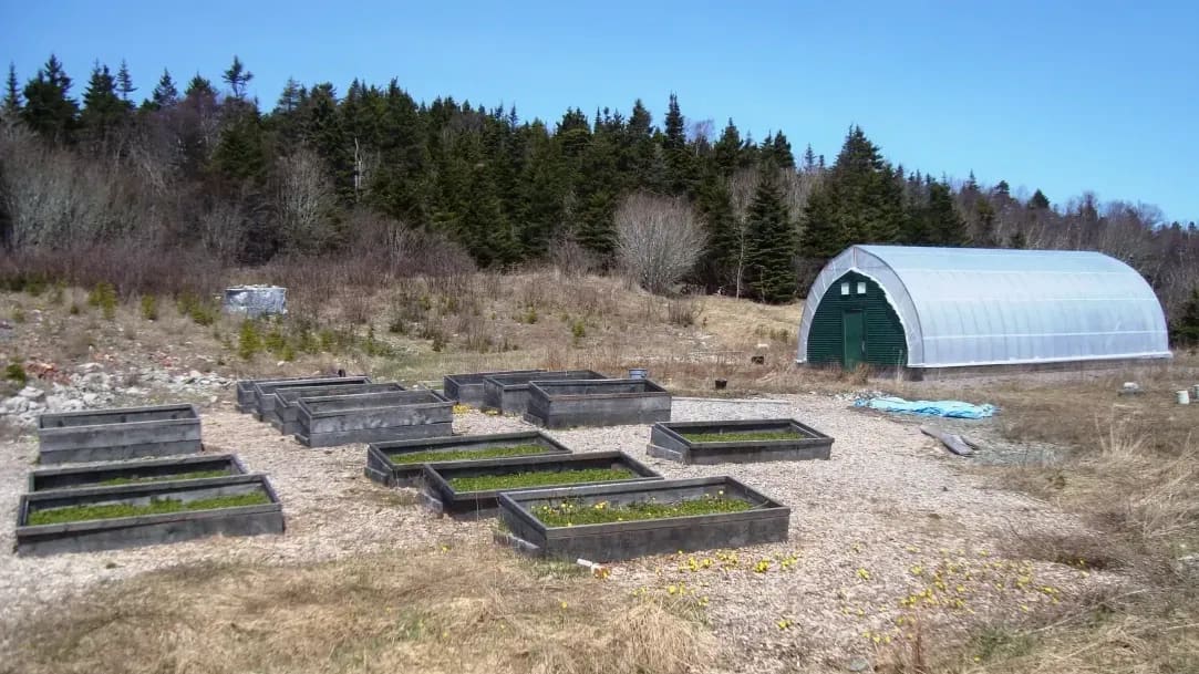 Evergreen Glasshouse 5