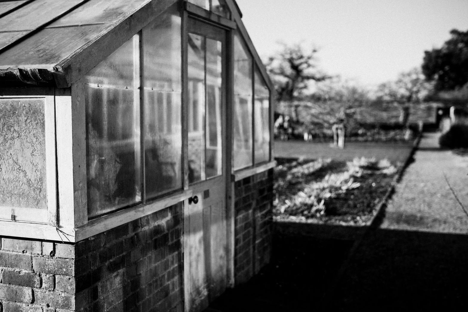 Evergreen Glasshouse