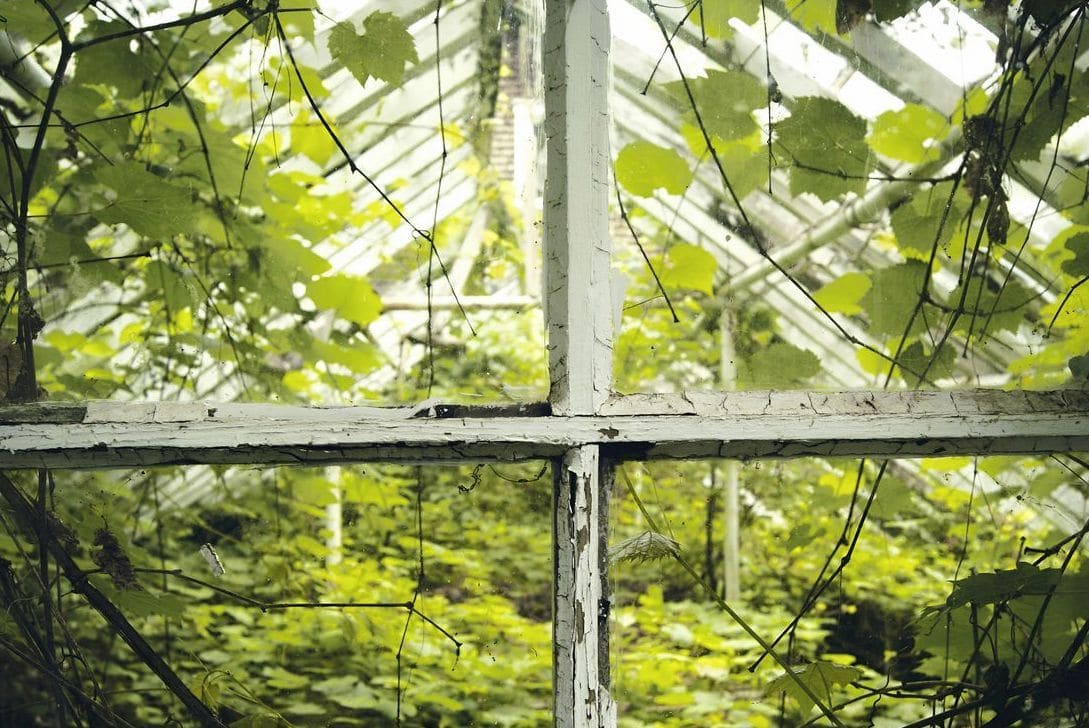 Commercial greenhouse design and planning